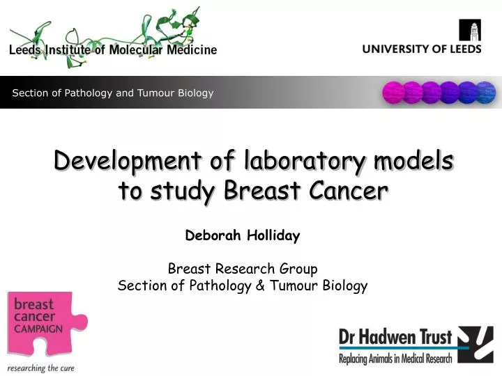 development of laboratory models to study breast cancer