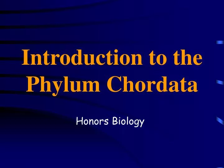 introduction to the phylum chordata