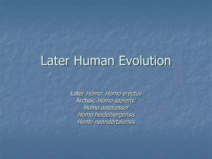 later human evolution
