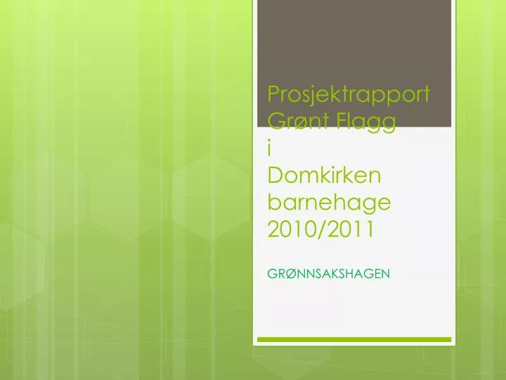 prosjektrapport gr nt flagg i domkirken barnehage 2010 2011