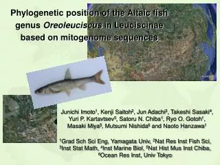 38 species 204 genera (FishBase)