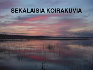 SEKALAISIA KOIRAKUVIA