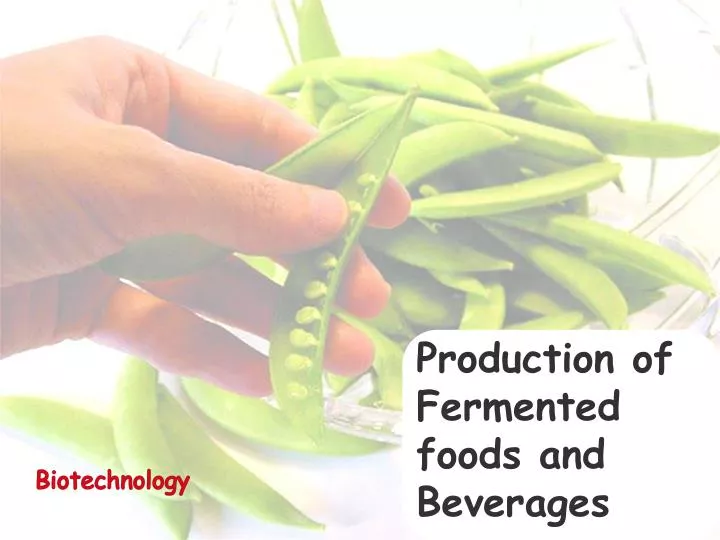 production of fermented foods and beverages