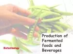 Production of Fermented foods and Beverages
