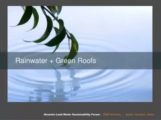Rainwater + Green Roofs
