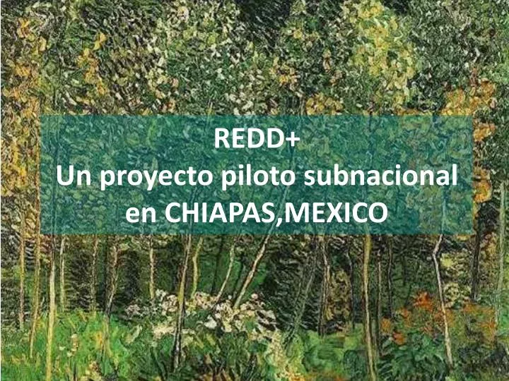 redd un proyecto piloto subnacional en chiapas mexico