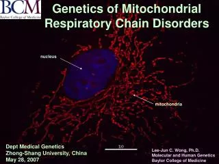Genetics of Mitochondrial Respiratory Chain Disorders