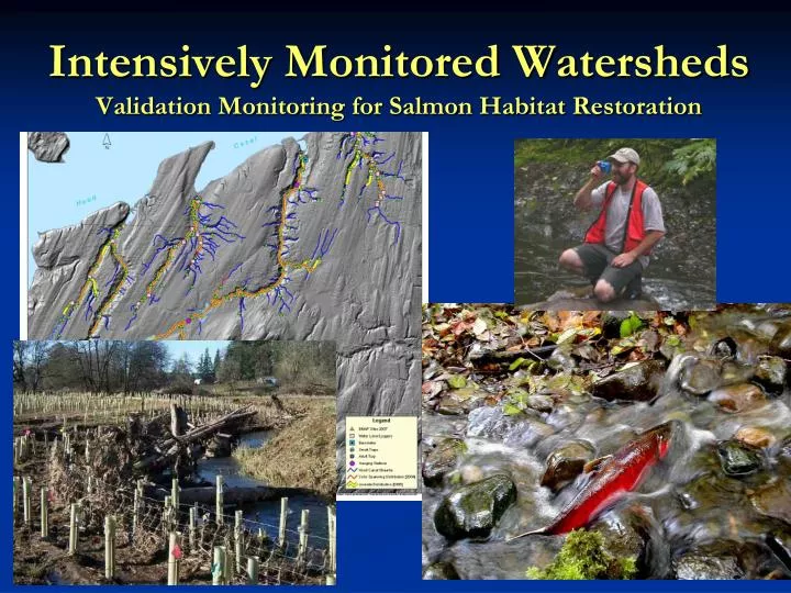 intensively monitored watersheds validation monitoring for salmon habitat restoration