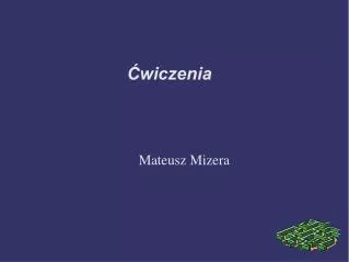 mateusz mizera