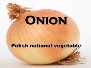 Onion Polish national vegetable