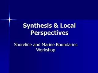 Synthesis &amp; Local Perspectives