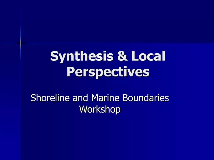 synthesis local perspectives