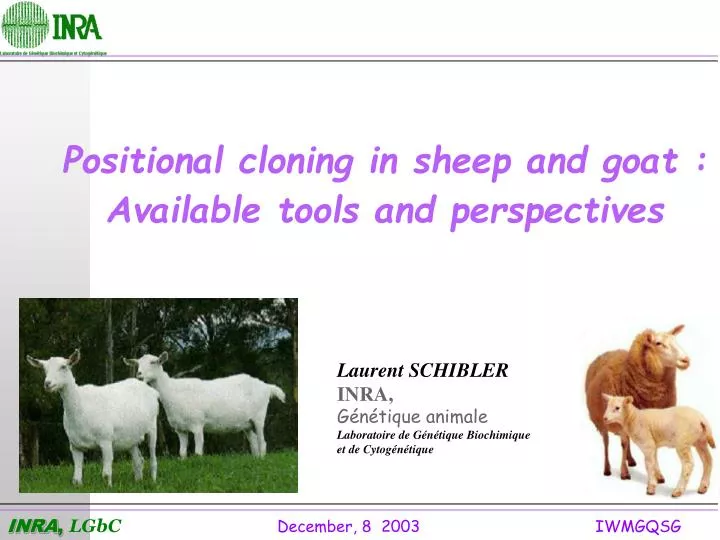 positional cloning in sheep and goat available tools and perspectives