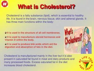 What is Cholesterol?