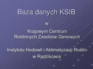 baza danych ksib