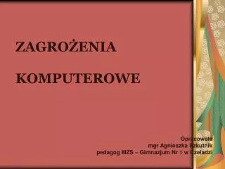 zagro enia komputerowe