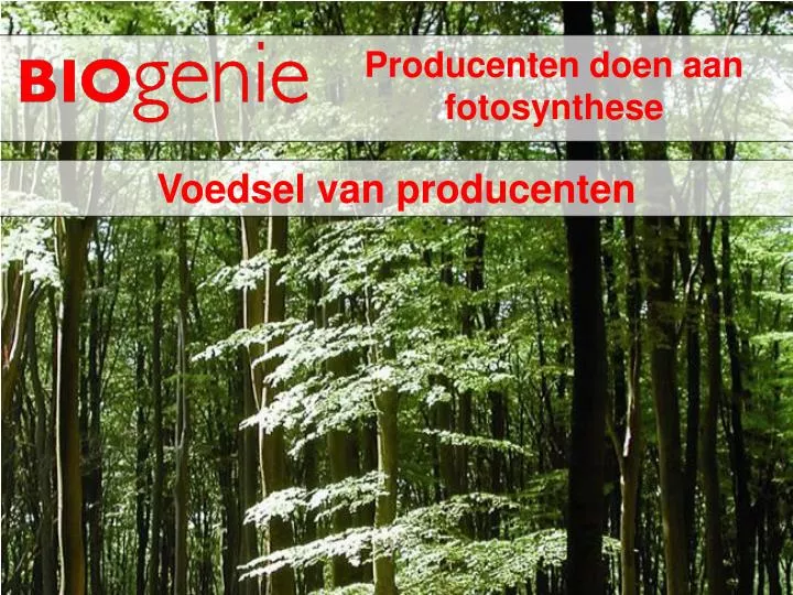 producenten doen aan fotosynthese