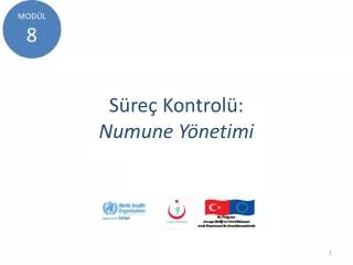 s re kontrol numune y netimi