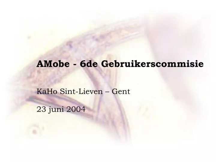 amobe 6de gebruikerscommisie kaho sint lieven gent 23 juni 2004