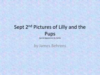 Sept 2 nd Pictures of Lilly and the Pups Special Appearance by Harley