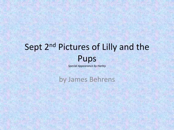 sept 2 nd pictures of lilly and the pups special appearance by harley