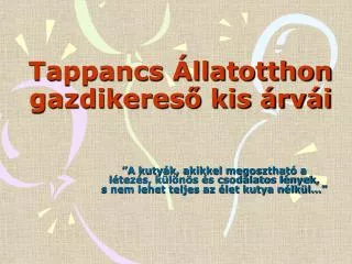 tappancs llatotthon gazdikeres kis rv i