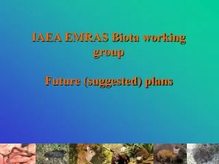 IAEA EMRAS Biota working group Future (suggested) plans