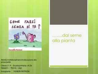 dal seme alla pianta