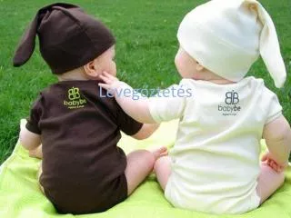 leveg ztet s
