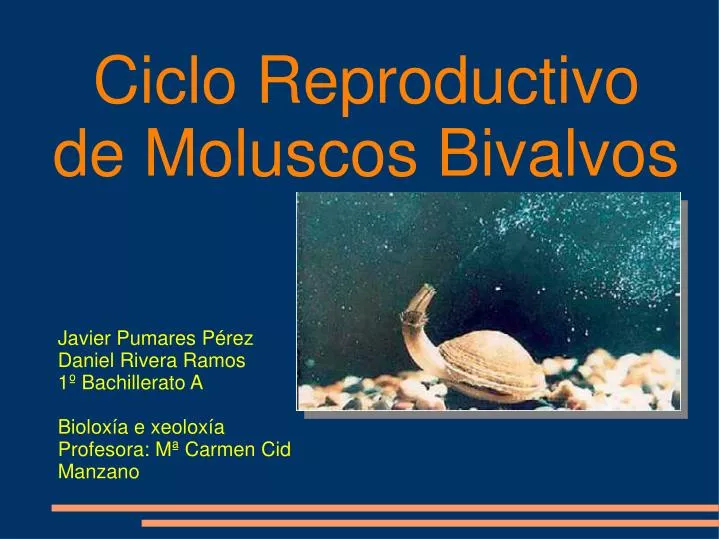ciclo reproductivo de moluscos bivalvos