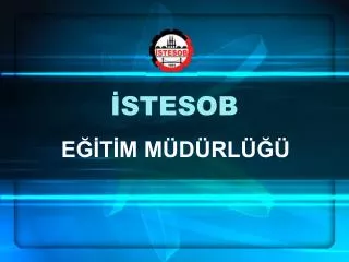 stesob