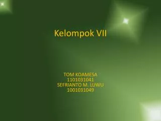 kelompok vii