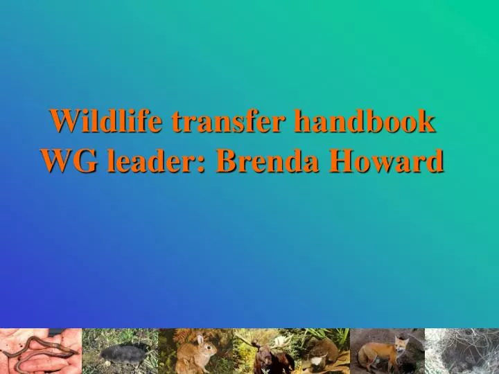 wildlife transfer handbook wg leader brenda howard
