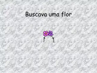 buscava uma flor