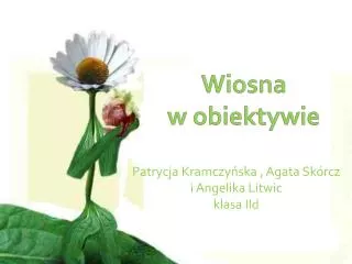 patrycja kramczy ska agata sk rcz i angelika litwic klasa iid