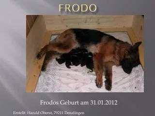 frodo