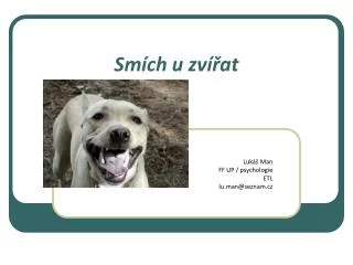 sm ch u zv at