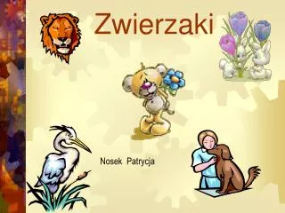 zwierzaki