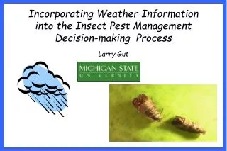Incorporating Weather Information into the Insect Pest Management Decision-making Process