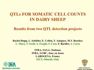 QTLs FOR SOMATIC CELL COUNTS IN DAIRY SHEEP Results from two QTL detection projects