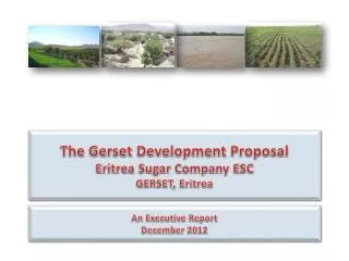 An Executive Report December 2012