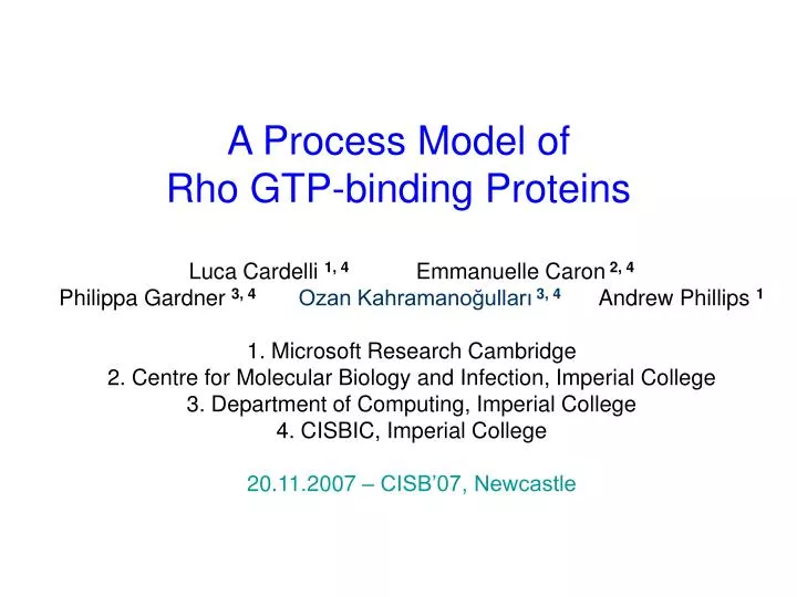 a process model of rho gtp binding proteins