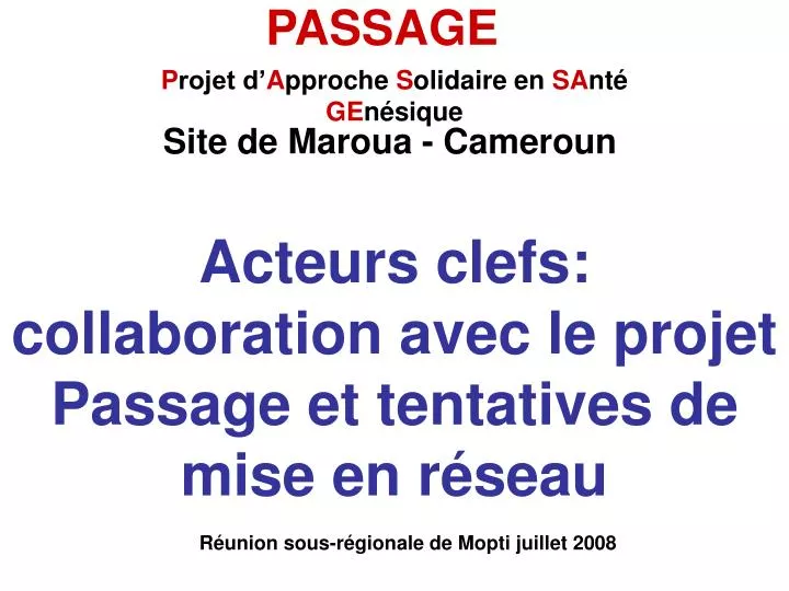 acteurs clefs collaboration avec le projet passage et tentatives de mise en r seau