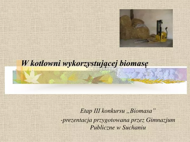 etap iii konkursu biomasa prezentacja przygotowana przez gimnazjum publiczne w suchaniu