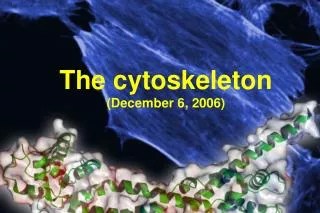 The c y toskeleton (December 6, 2006)