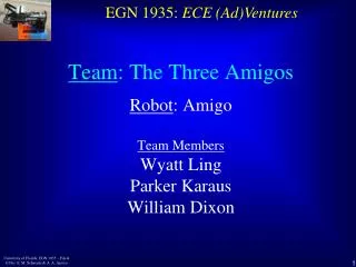 Team : The Three Amigos