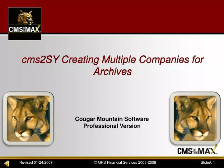 cms2sy creating multiple companies for archives