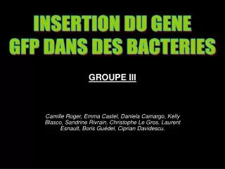 groupe iii
