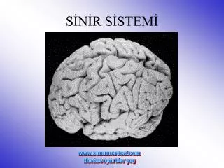 s n r s stem