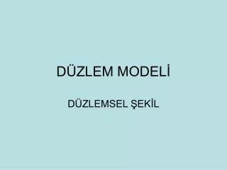 d zlem model